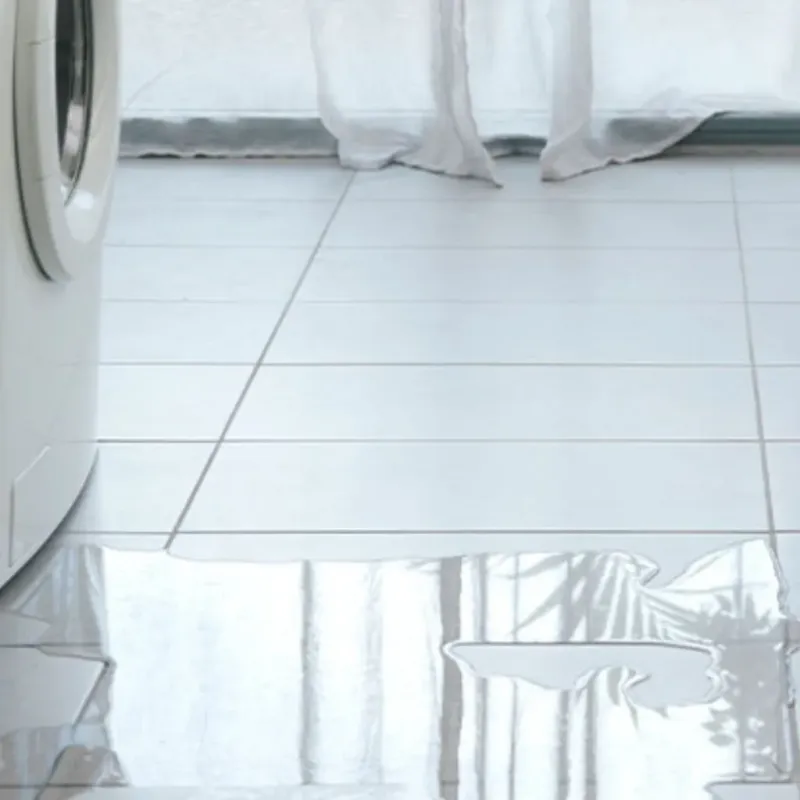 Appliance Leak Cleanup in Harrington, DE