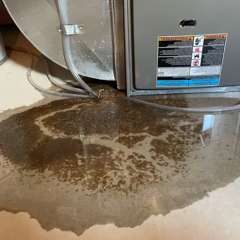 Pipe Burst and Leak Restoration in Harrington, DE