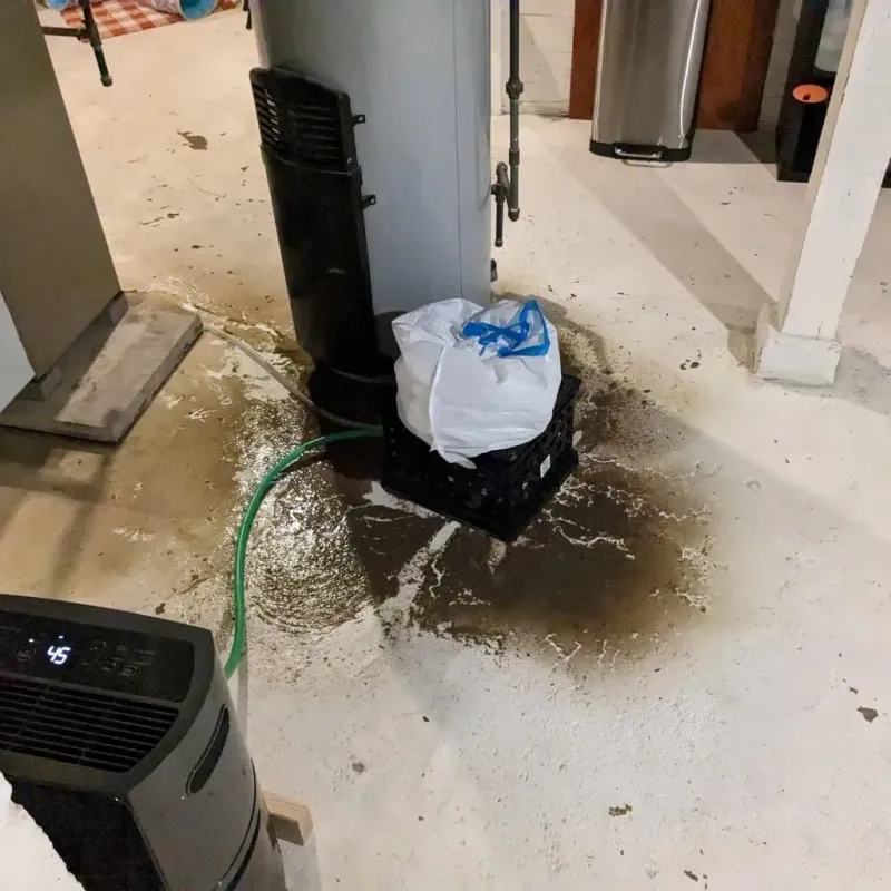 Sewage Backup Cleanup Service in Harrington, DE